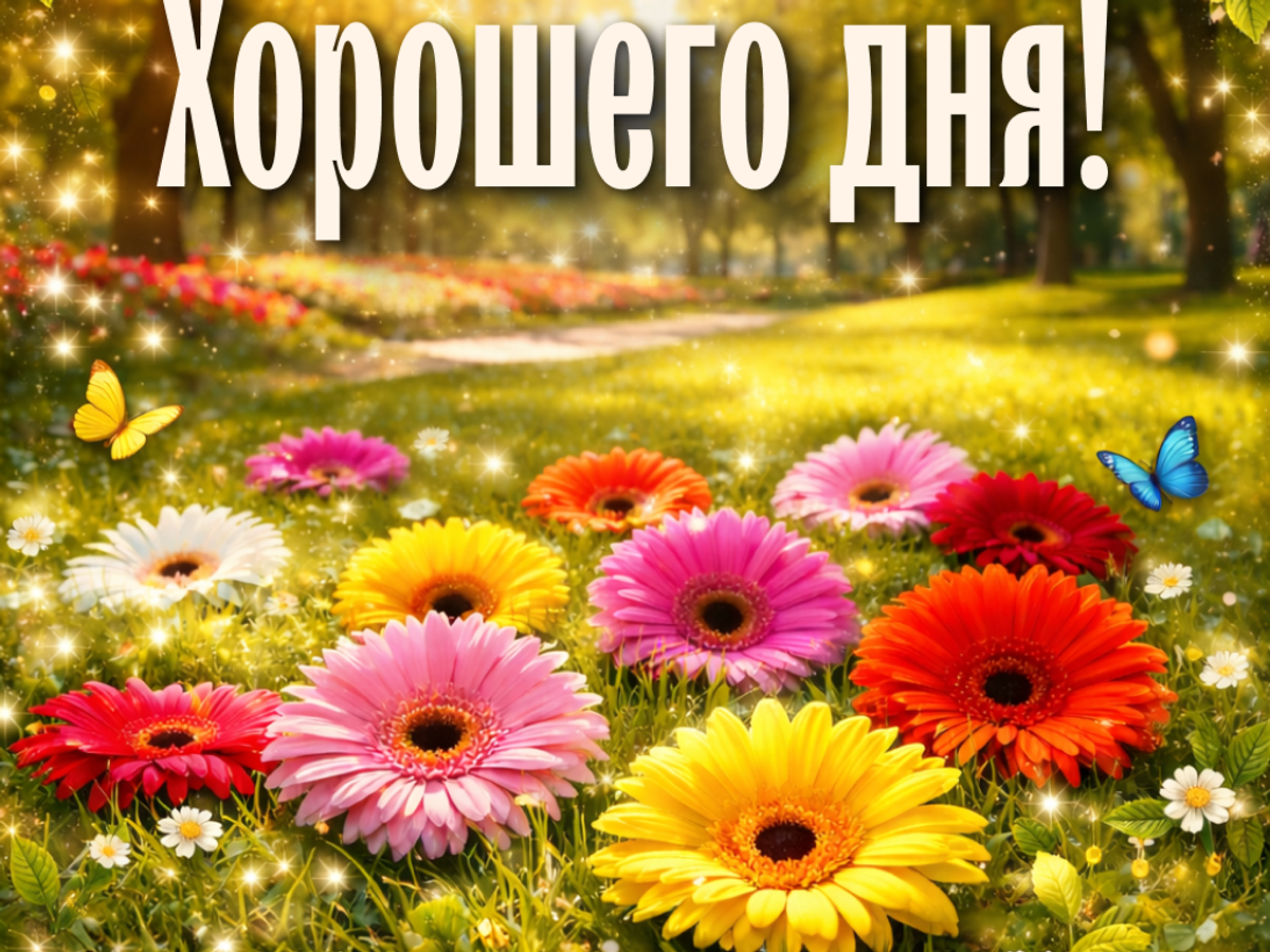    Хорошего дня картинки красивые и позитивные для отличного настроения | © Открытка создана РИА Новости