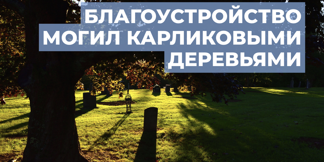 Благоустройство могил карликовыми деревьями