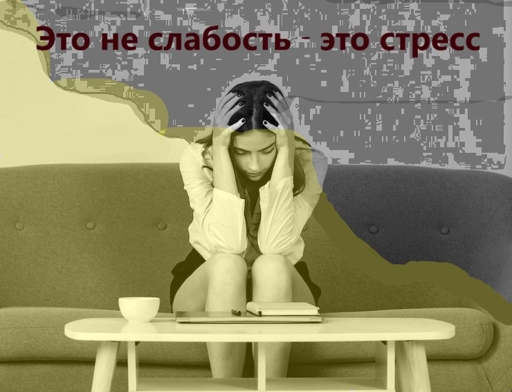 Источник фото: https://ru.freepik.com/photos/