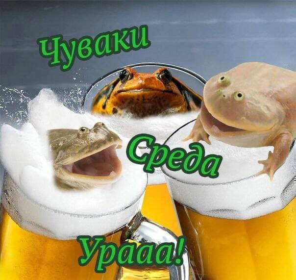 Открытые источники 