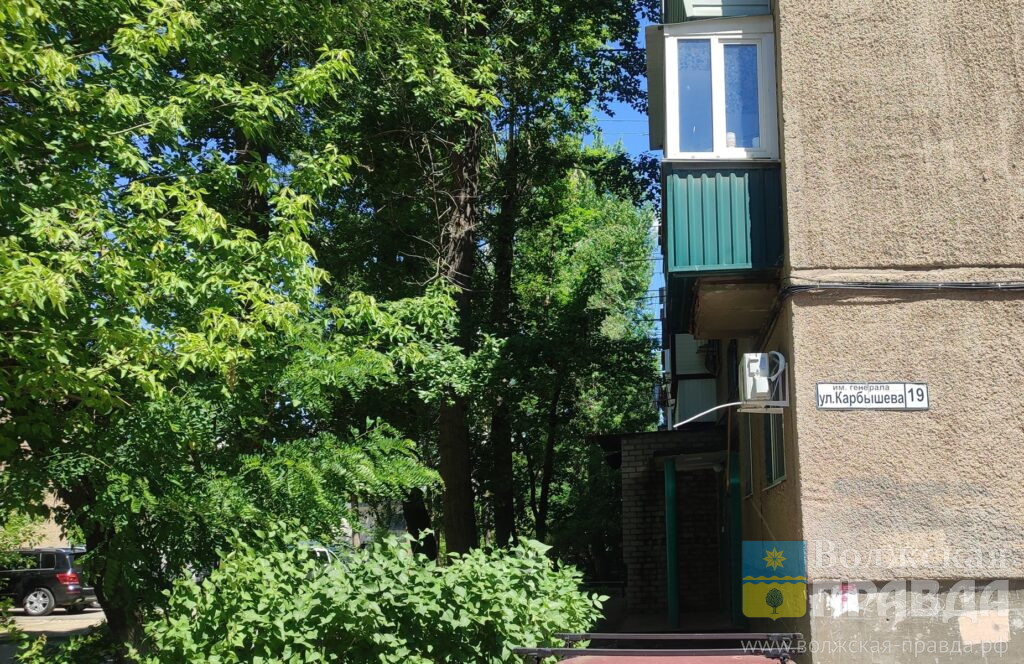     С пилой наперевес: как пенсионерка из Волжского разобралась с деревом, заслонявшим солнце
