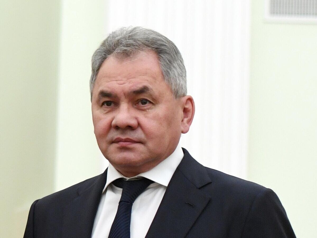    Министр обороны РФ Сергей Шойгу | © РИА Новости / Григорий Сысоев