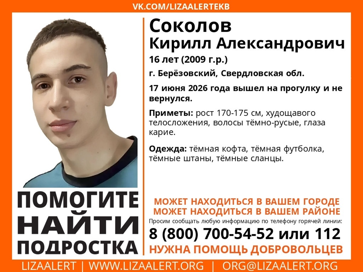 Фото: поисковый отряд «Лиза Алерт» Свердловской области  📷
