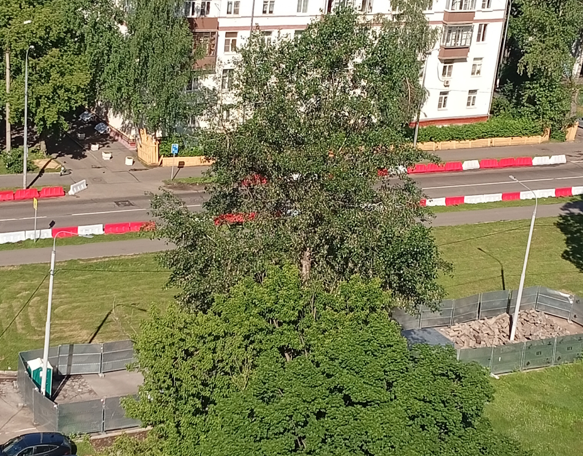 Фото автора