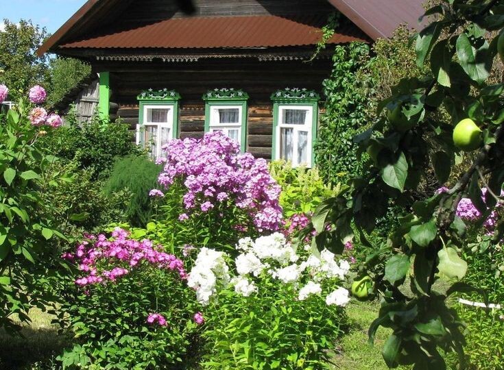 Патроны, валюта и вискарь