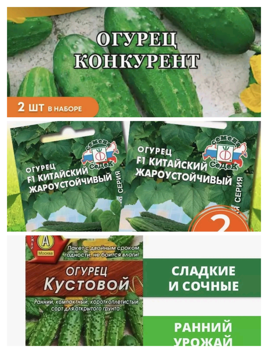 🥒🥒🥒🥒