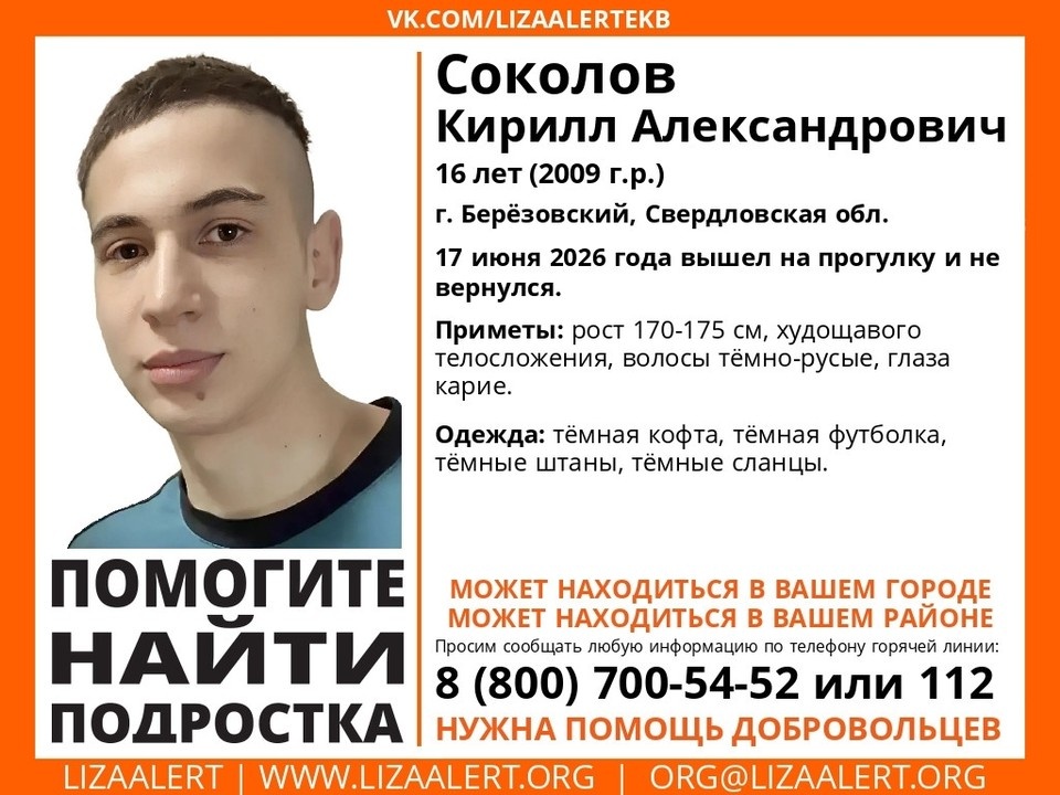    Кирилл Соколов ушел на прогулку 17 июня и не вернулся. Фото: поисково-спасательный отряд "ЛизаАлерт"