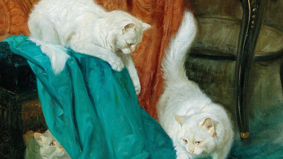 Человек среди котов, коты среди человеков