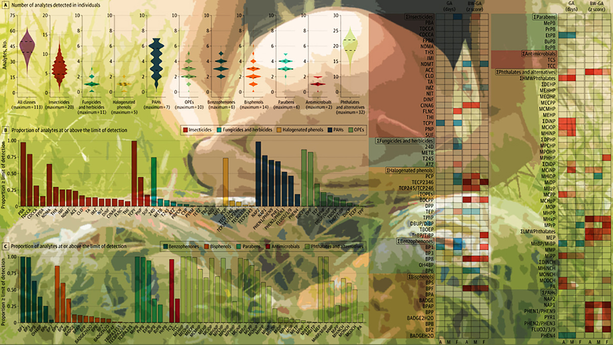 N + 1; Free-Photos / Needpix / Public Domain; Jessie P. Buckley et al. / JAMA Network Open, 2026
