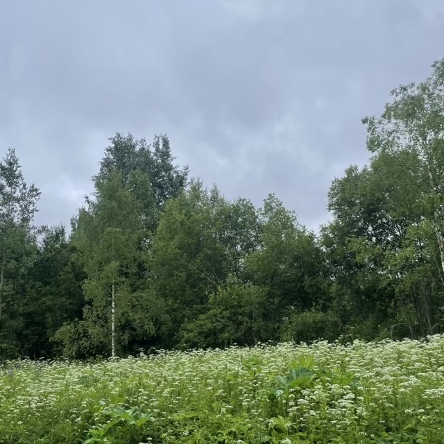 Небо плачет.