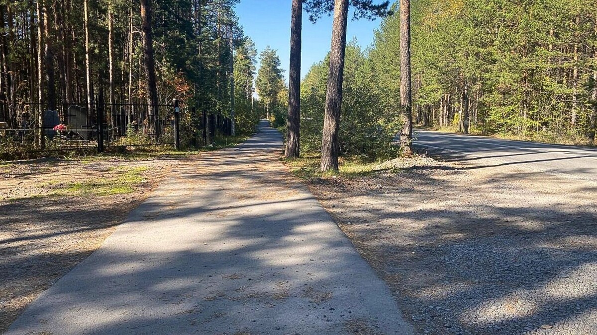    Больше всего клещей на природе   1MI