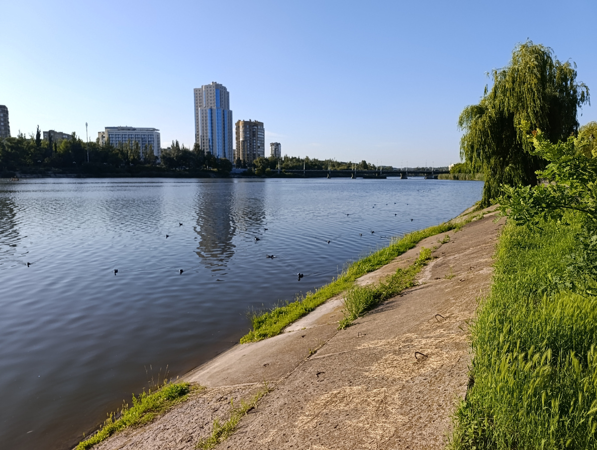 Уточки на левом берегу Нижнекальмиусского водохранилища.