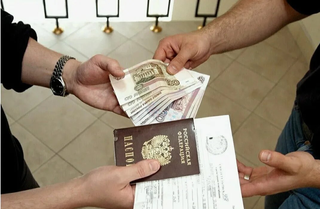 Фото: из открытых источников.