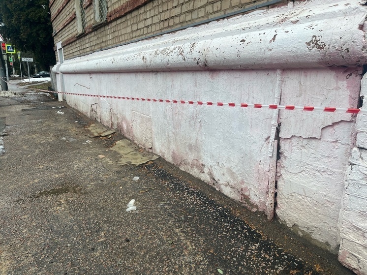     Фото: "МК в Орле"/Марианна Альянова