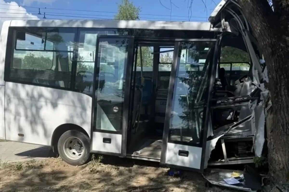   Автобус съехал с дороги и на скорости врезался в дерево.