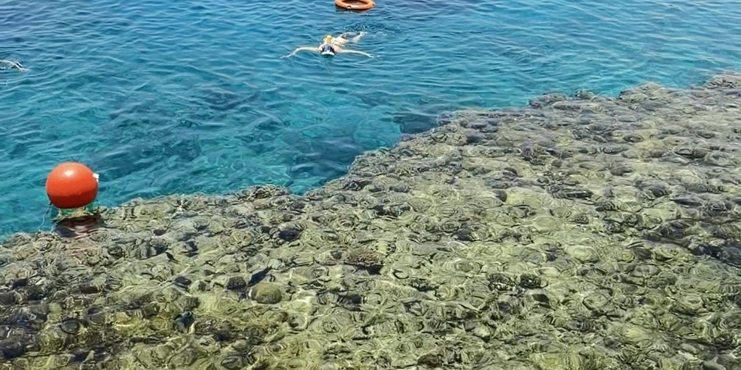 Красное море: одно из самых странных мест на Земле