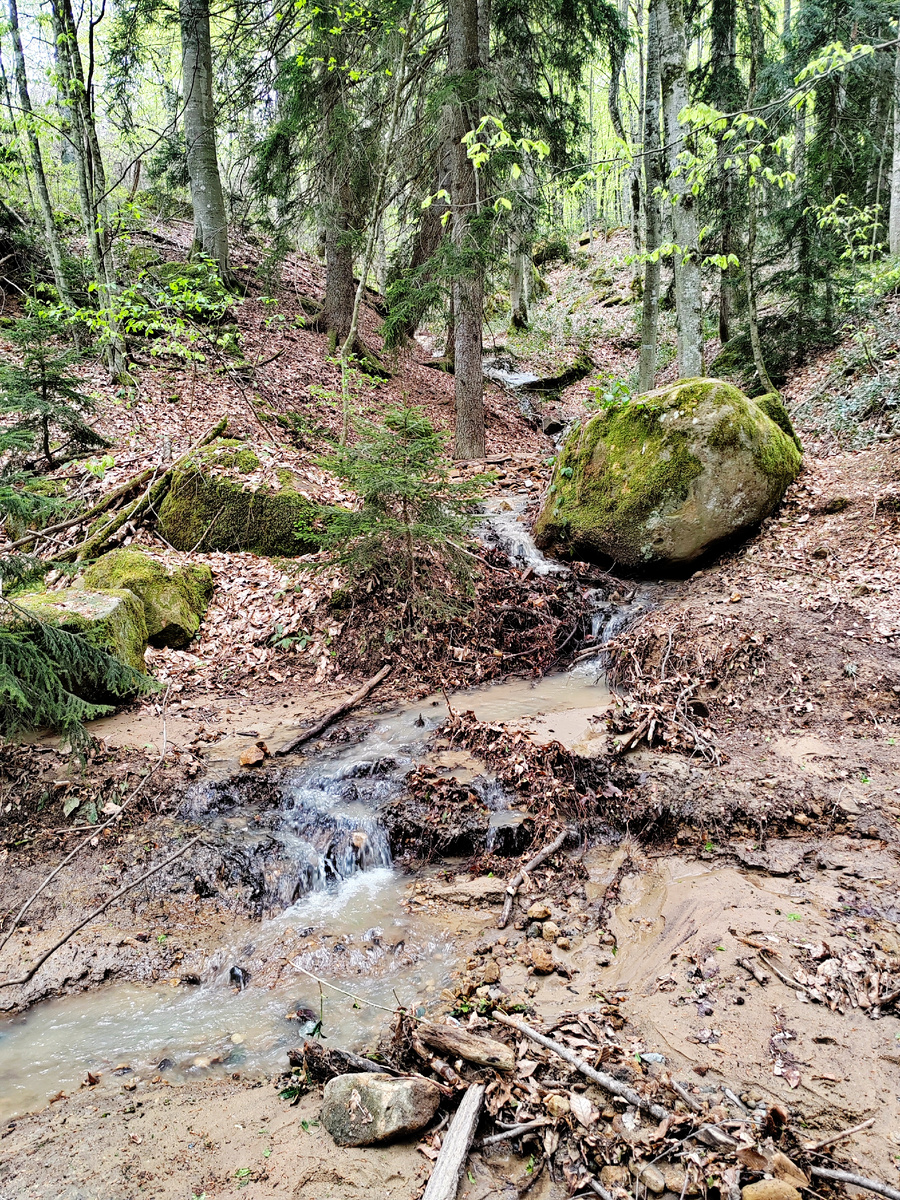 Ручей по пути на Кызылбекские водопады, Мостовской район. Фото автора