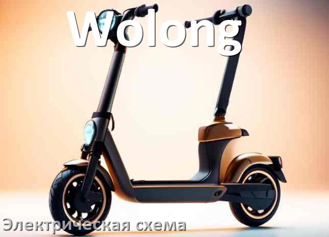 
Самокат Wolong электрическая схема