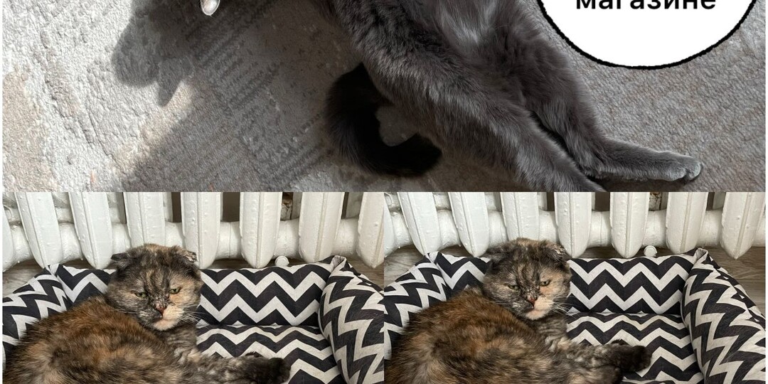 9 смешных мемов, которые жалко пропустить
