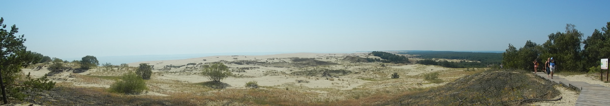Куршская коса