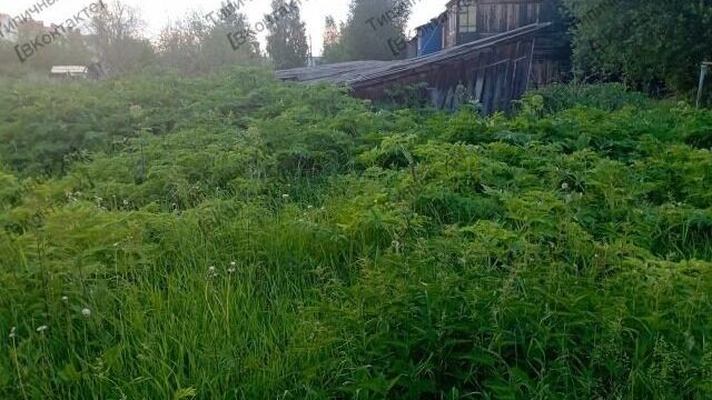   ВКонтатке «Типичный Ханты-Мансийск» / https://vk.com/typical_xm?w=wall-62596804_3202035