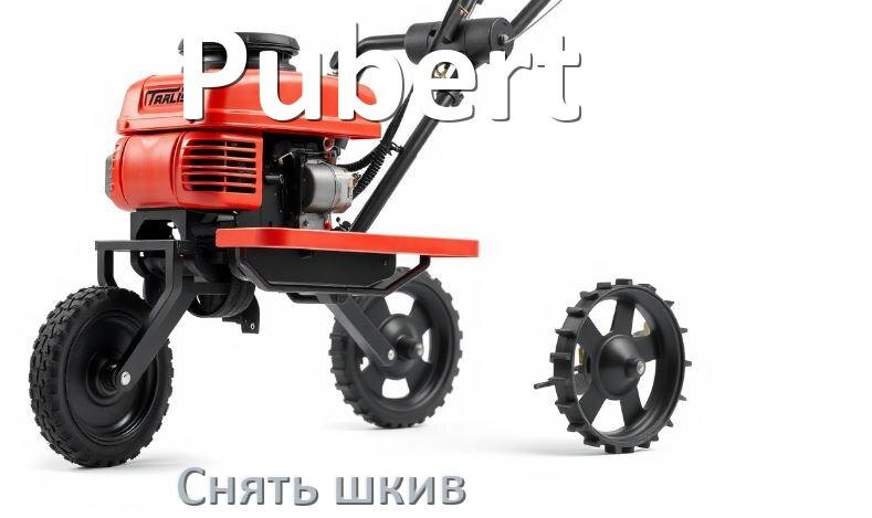 
Как снять шкив с мотоблока Pubert с редуктора и двигателя