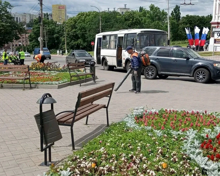     В Курске высадили цветы в скверах Рокоссовского, на Звездной и Майском бульваре