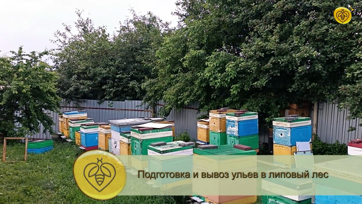 Июнь на Урале - безвзяточный период