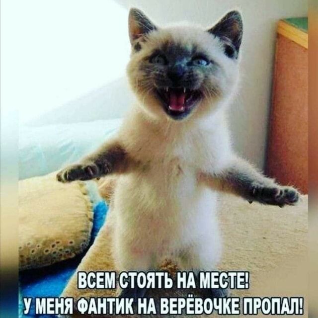 источник Яндекс-картинки
