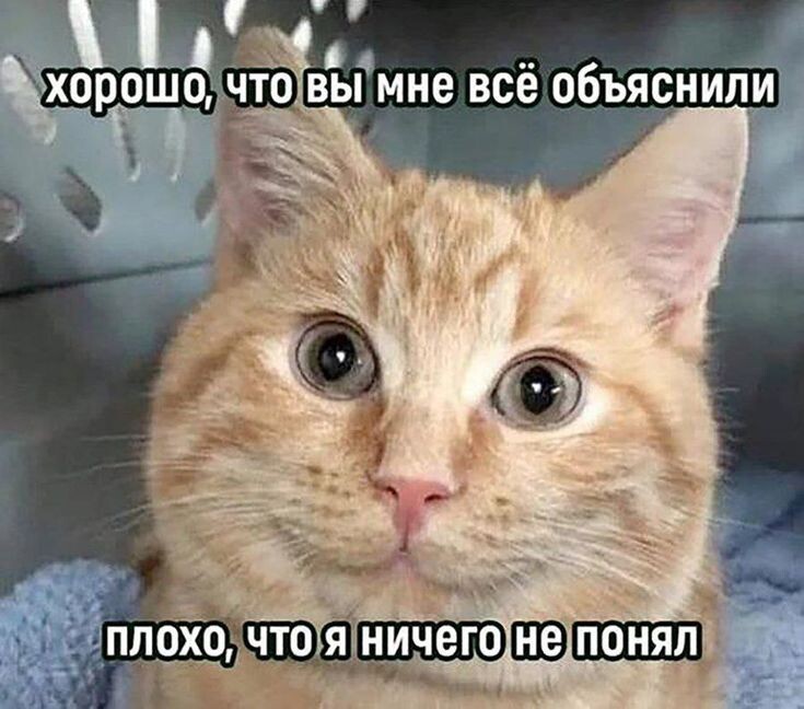 источник Яндекс-картинки