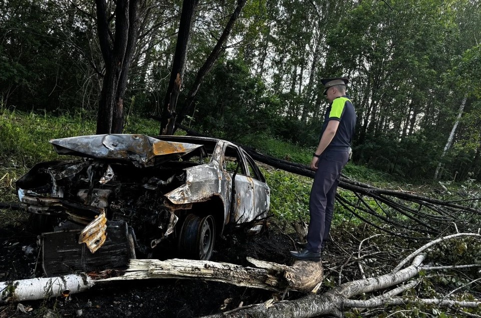    Пьяный водитель не справился с управлением и влетел в дерево, в салоне было два пассажира. Фото: Госавтоинспекция Свердловской области