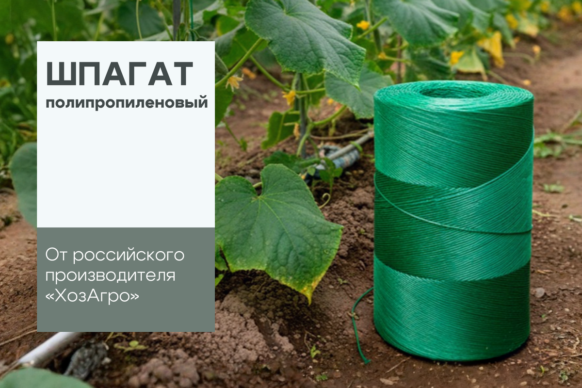 Шпагат