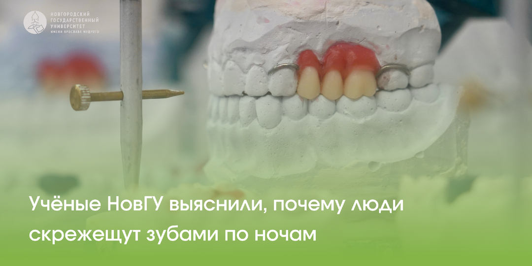 Учёные НовГУ выяснили, почему люди скрежещут зубами по ночам