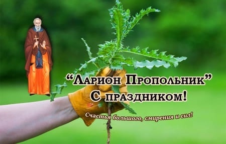 свобод.источник