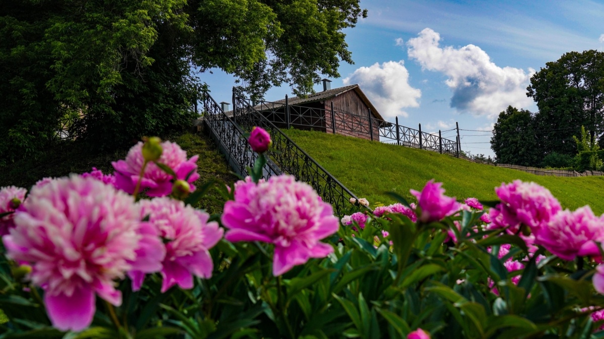 Светлана Мулыкина📷
