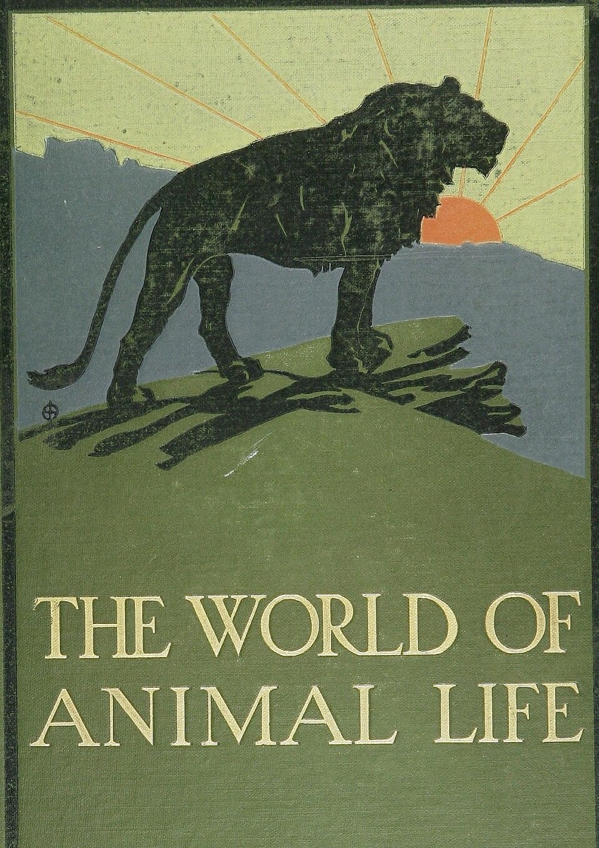 Fred Smith. Обложка книги The World of Animal Life, 1910. Public domain / Wikimedia Commons
