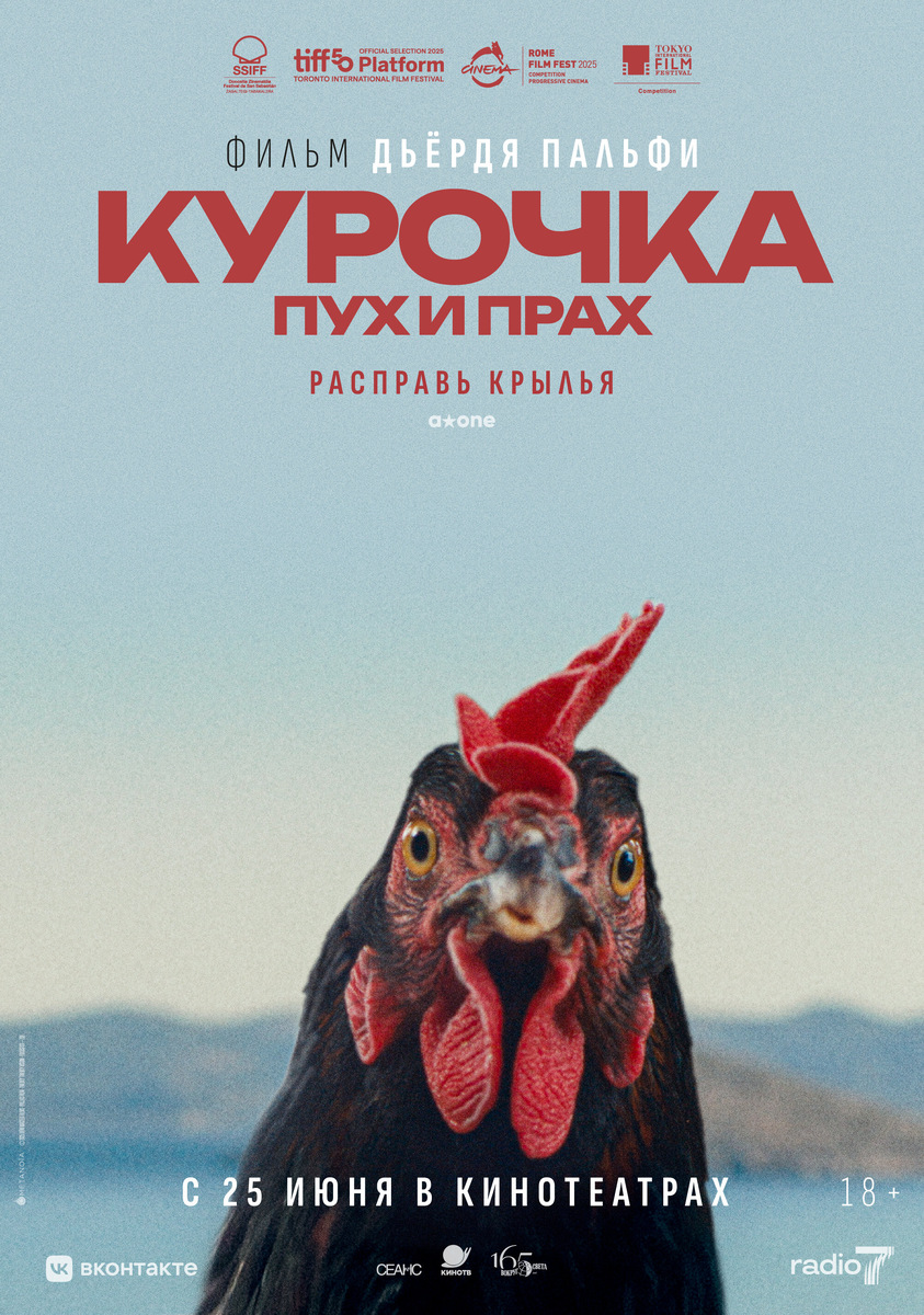 Постер фильма "Курочка. Пух и прах" 