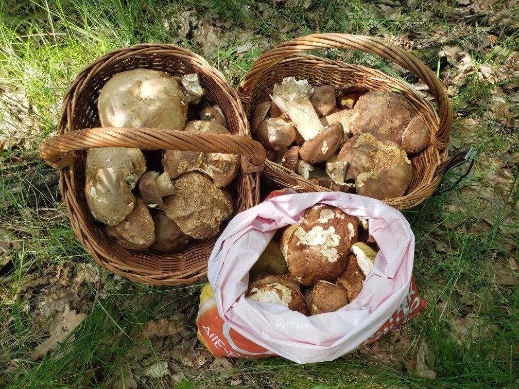 Фото Жанны Еськовой