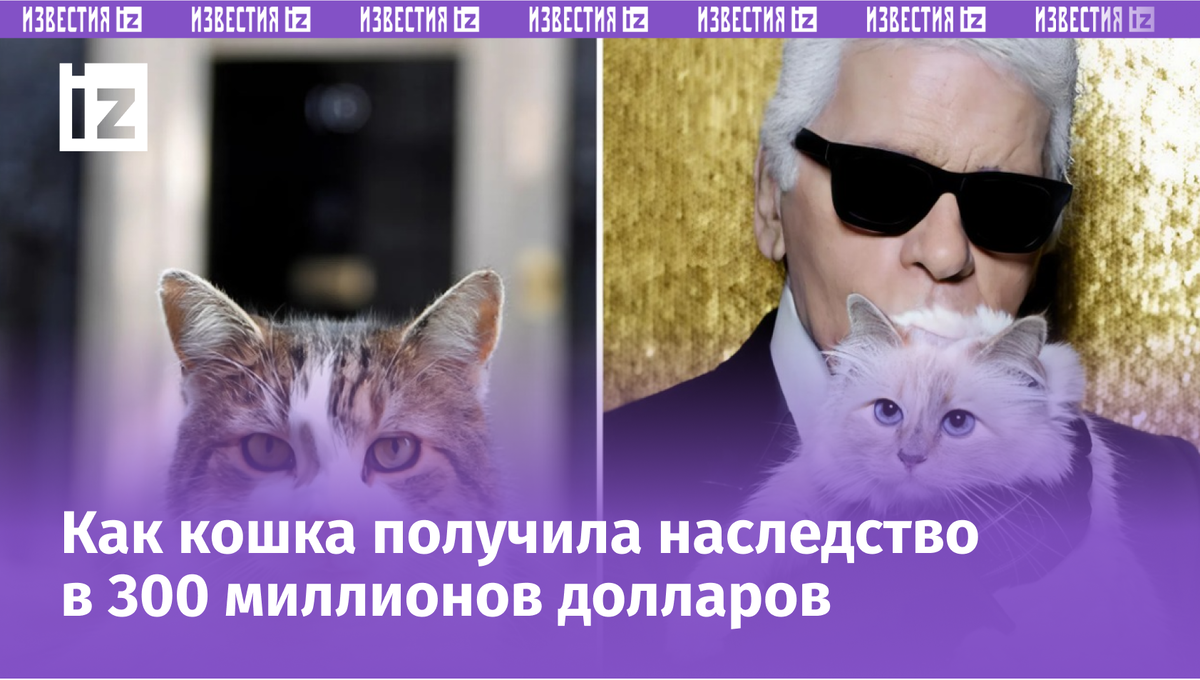 Фото с сайта Пятого канала