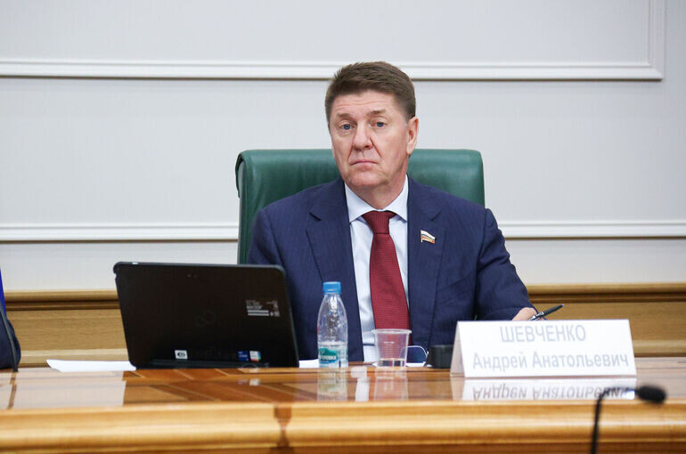   Денис Вышинский/Пресс-служба Совета Федерации