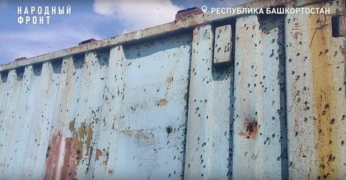    Запах падали мучает людей три года   Народный фронт РБ