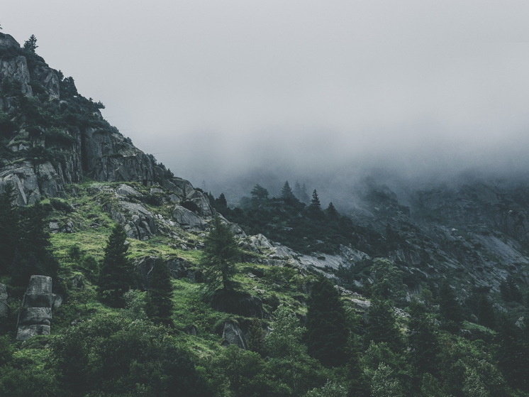     Фото: pexels