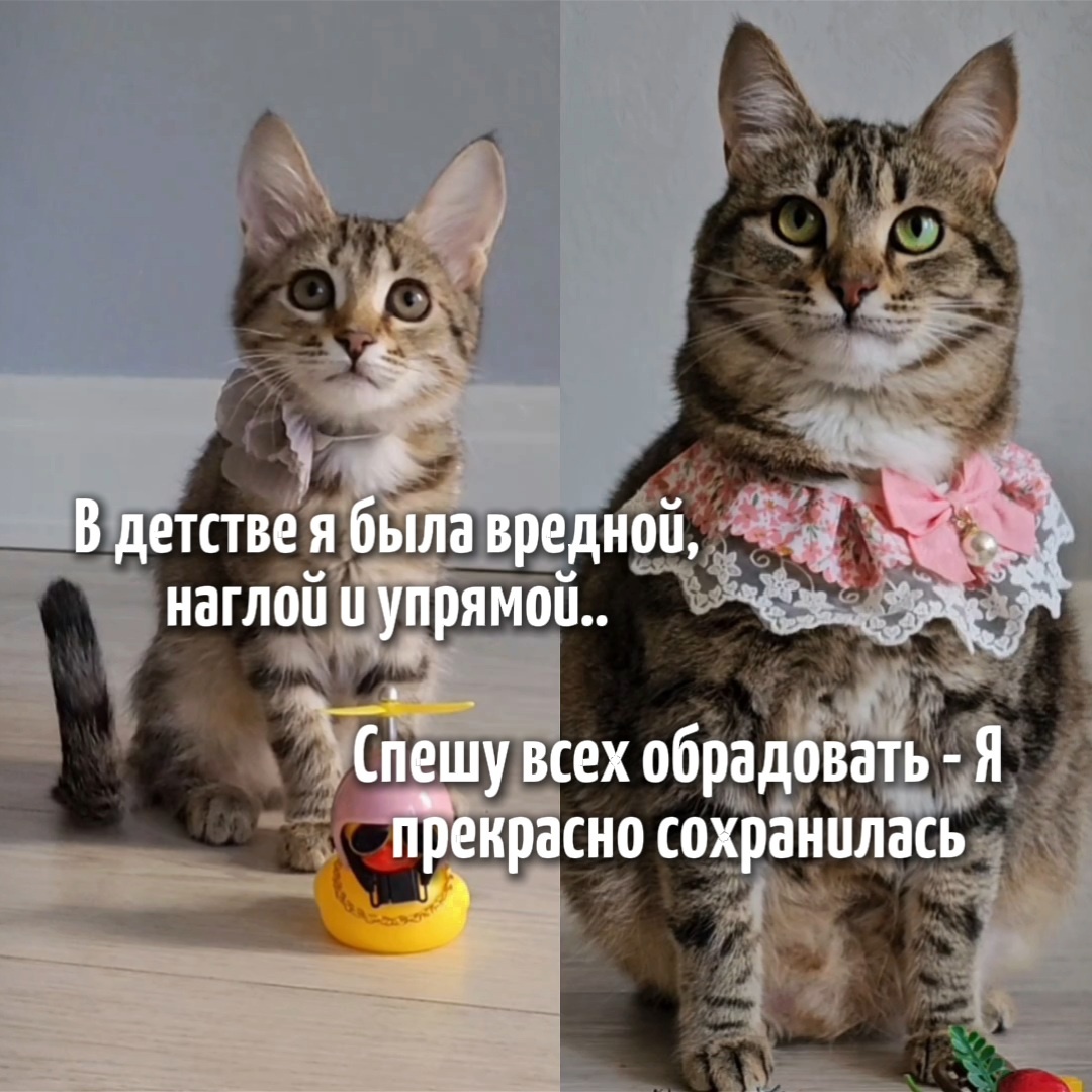 Малышка у нас вообще мастер самоанализа.