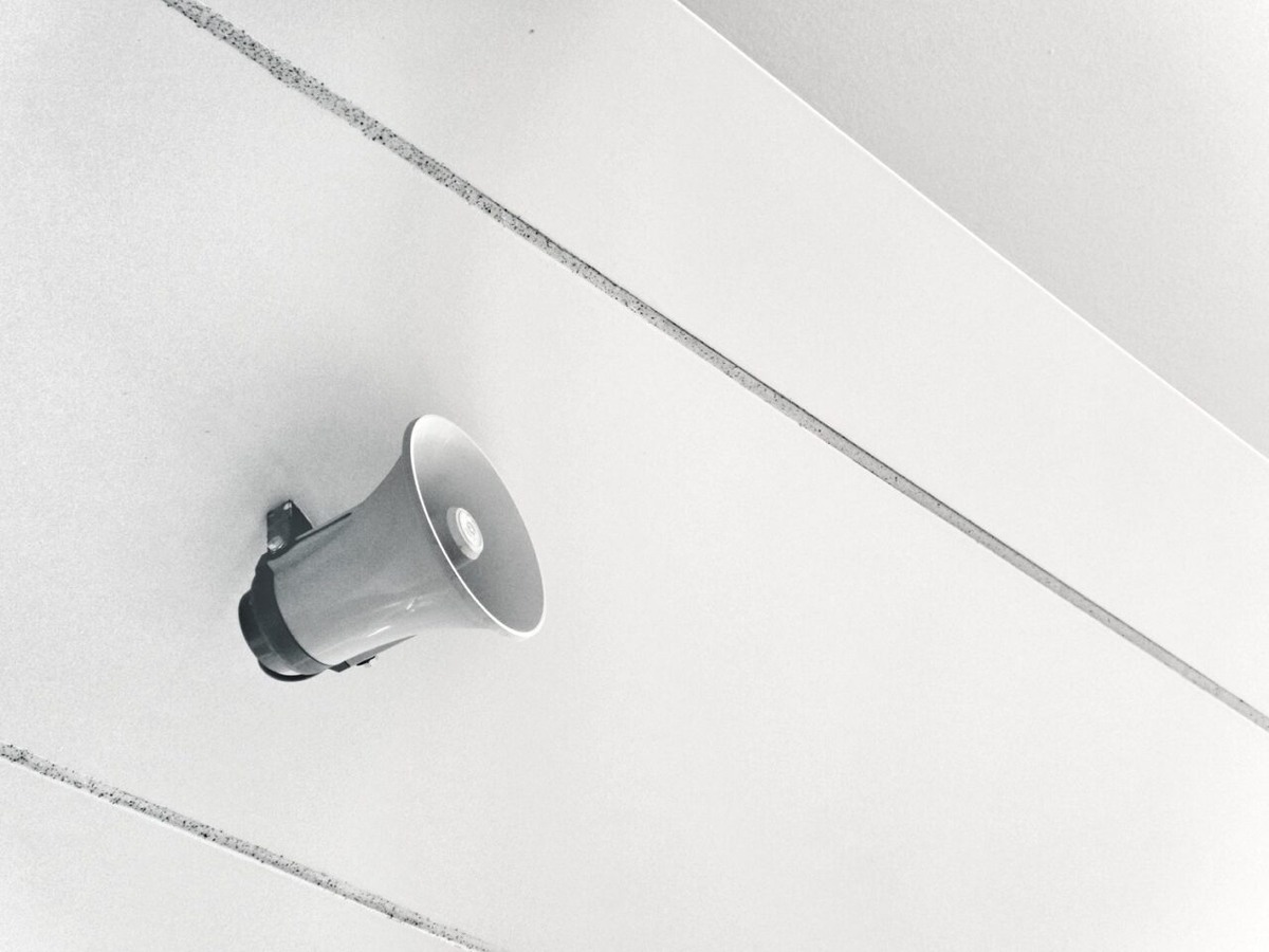     Фото: unsplash.com