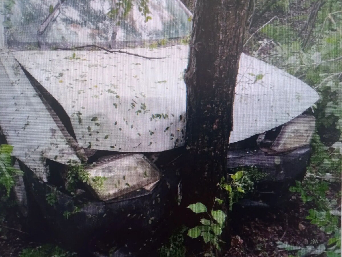    Фото: Госавтоинспекция Забайкалья