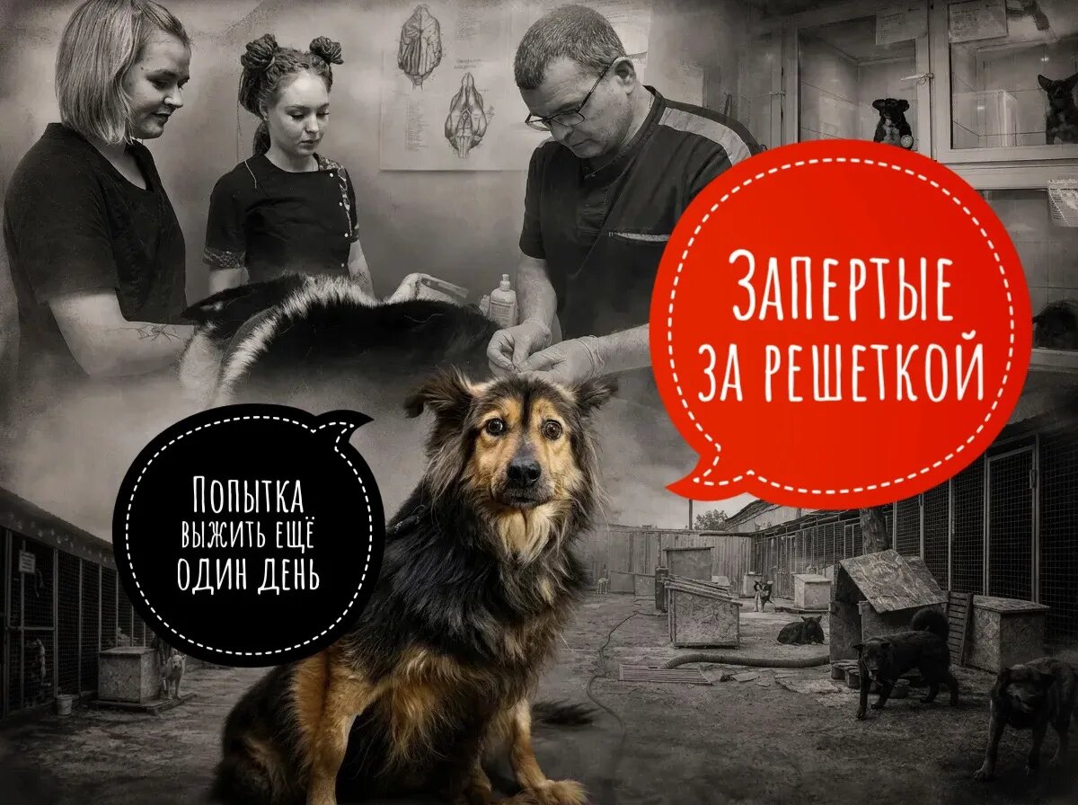  Отчаянная попытка выжить еще один день. День стольника...