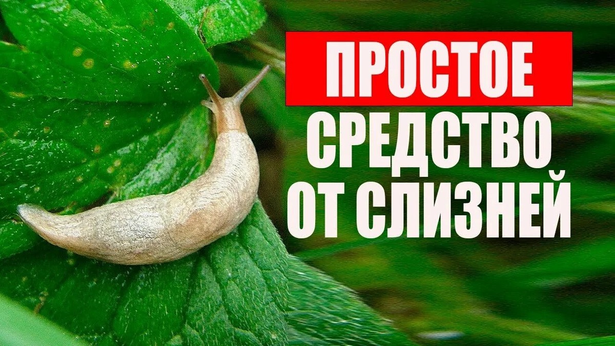 Источник: YouTube