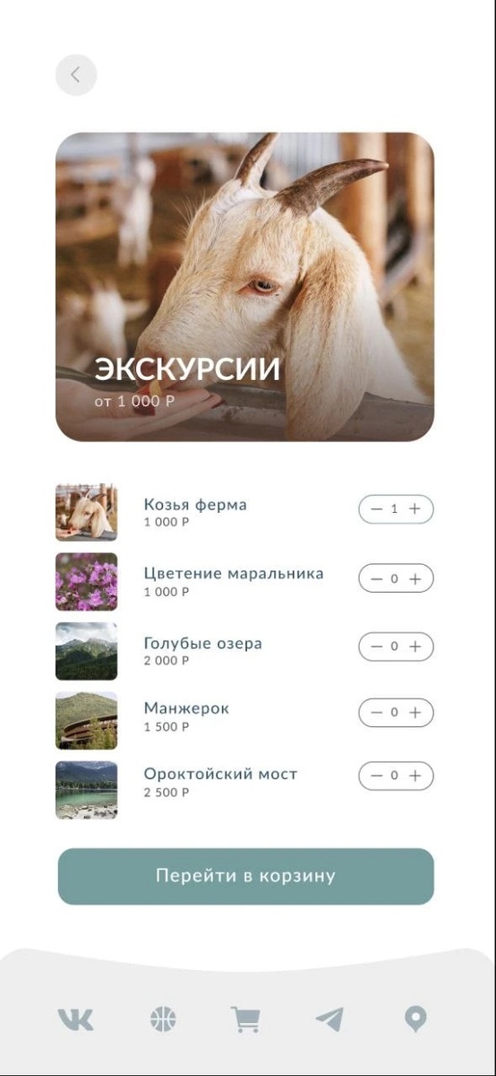 Любые виды услуг 