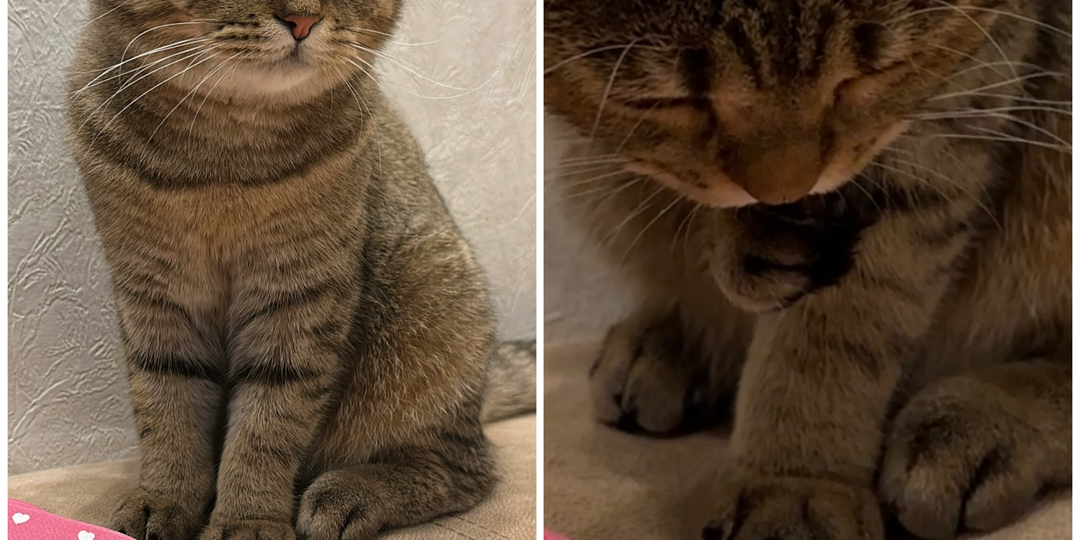 Хорошего дня, дорогие♥️