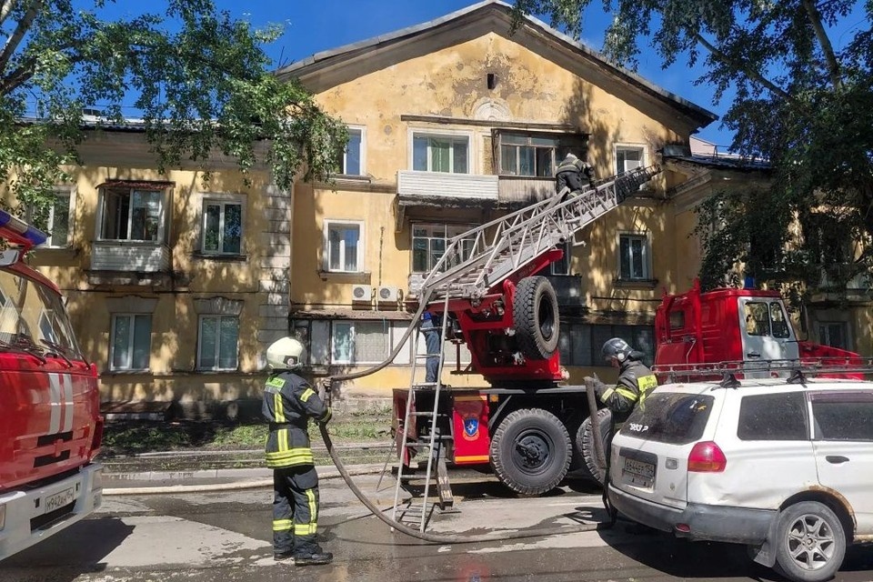    Очевидцы сообщили, что пострадала собака Надежда РЫЖКИНА